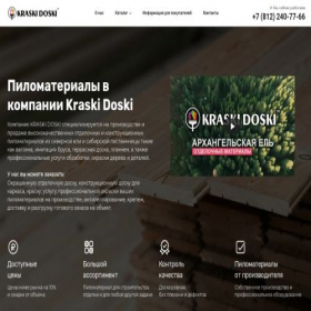 Скриншот главной страницы сайта doskabum.ru